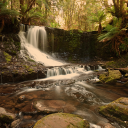 Horseshoe Falls, Mt Field National Park