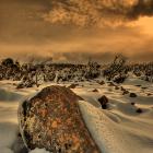 Wellington in Winter 2
