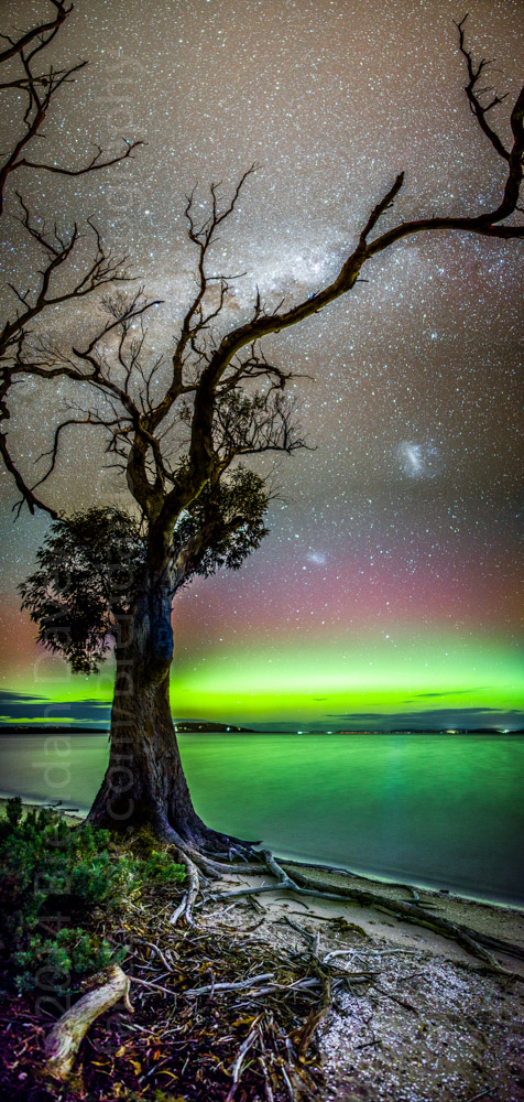 Aurora Australis from Mortimer Bay